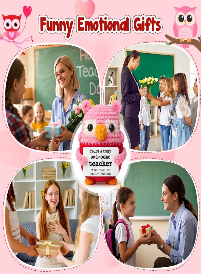 Hweijm Pink Owl Crochet Birthday Gift for Teacher, Handmade Thank You Keepsake for Women Mentors, Inspirational Crochet Teacher Appreciation Present, Graduation End of School Year Desk Decor - Image 4